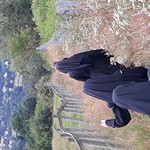 Pèlerinage à Lourdes, été 2019