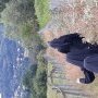 De Bartrès à Lourdes